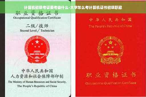计算机初级考证要考些什么-大学怎么考计算机证书初级职称