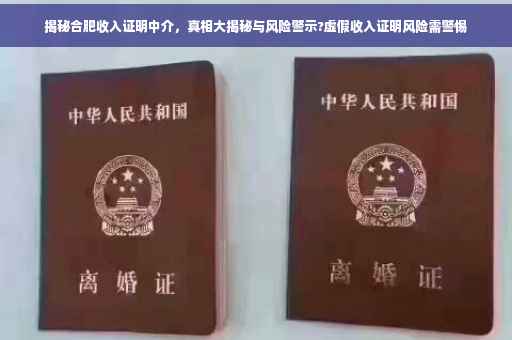 揭秘合肥收入证明中介，真相大揭秘与风险警示?虚假收入证明风险需警惕