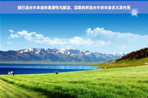 银行流水中本金的重要性与解读，深度剖析流水中的本金含义及作用