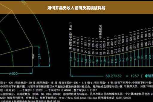 如何开具无收入证明及其模板详解