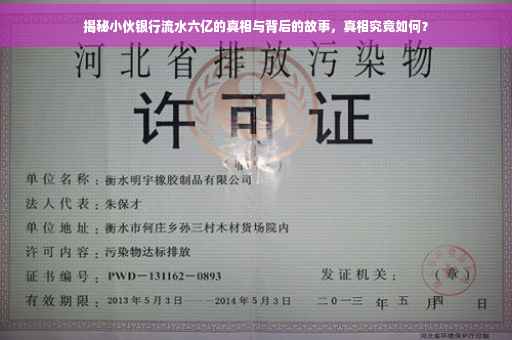 揭秘小伙银行流水六亿的真相与背后的故事，真相究竟如何？