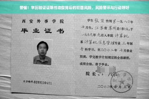 警惕！学历验证证明书造假背后的犯罪风险，风险警示与行动呼吁