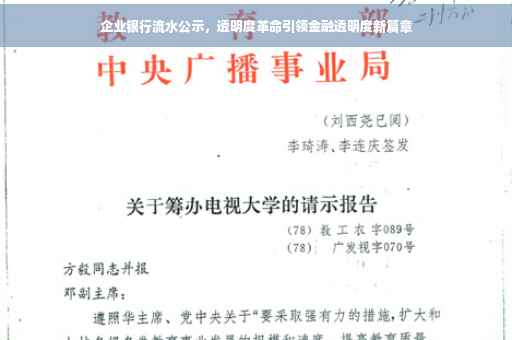 企业银行流水公示，透明度革命引领金融透明度新篇章
