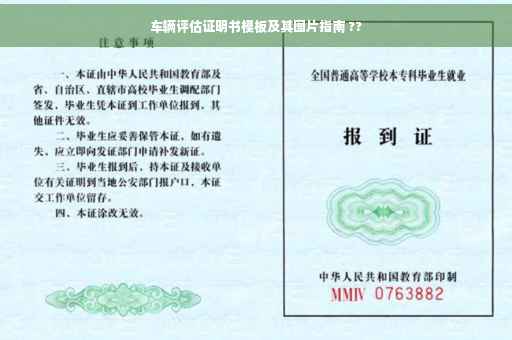 车辆评估证明书模板及其图片指南 ??