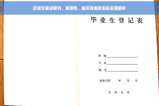 印章交委证明书，重要性、编写指南及实际应用解析