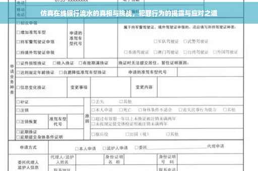 仿真在线银行流水的真相与挑战，犯罪行为的揭露与应对之道