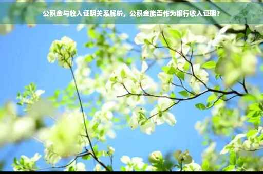 公积金与收入证明关系解析，公积金能否作为银行收入证明？