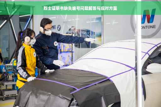 烈士证明书缺失编号问题解答与应对方案