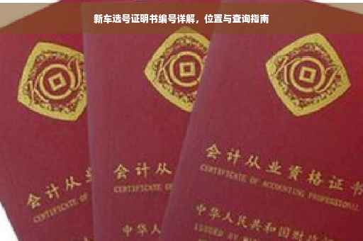新车选号证明书编号详解，位置与查询指南