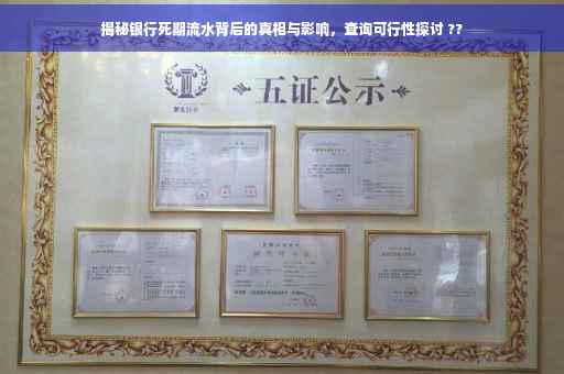 揭秘银行死期流水背后的真相与影响，查询可行性探讨 ??