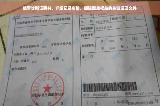 感冒诊断证明书，详细记录病情，保障健康权益的关键证明文件