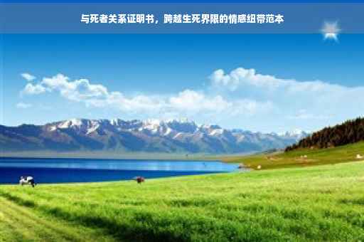 与死者关系证明书，跨越生死界限的情感纽带范本