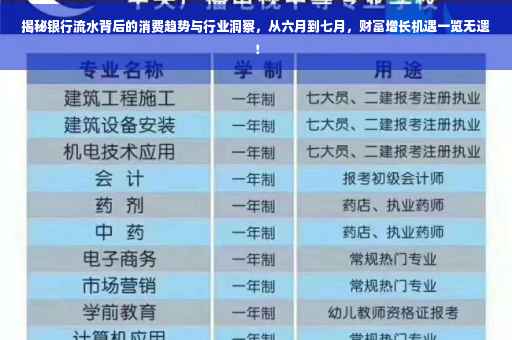 揭秘银行流水背后的消费趋势与行业洞察，从六月到七月，财富增长机遇一览无遗！
