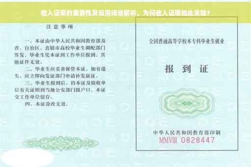 收入证明的重要性及应用场景解析，为何收入证明如此关键？