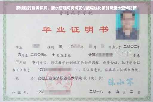 跨境银行服务详解，流水管理与跨境支付流程优化策略及流水查询指南