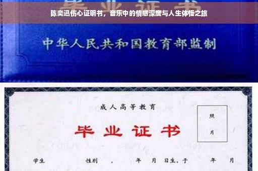 陈奕迅伤心证明书，音乐中的情感深度与人生体悟之旅