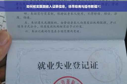 如何核实医院收入证明信息，详尽指南与操作教程?✨