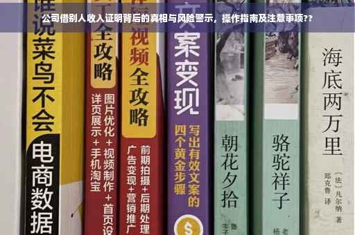 公司借别人收入证明背后的真相与风险警示，操作指南及注意事项??