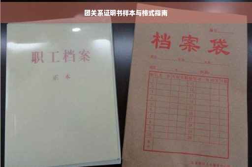 团关系证明书样本与格式指南