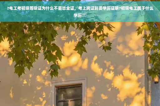 ?电工考初级等级证为什么不要毕业证，考上岗证到要学历证明?初级电工属于什么学历⚡️