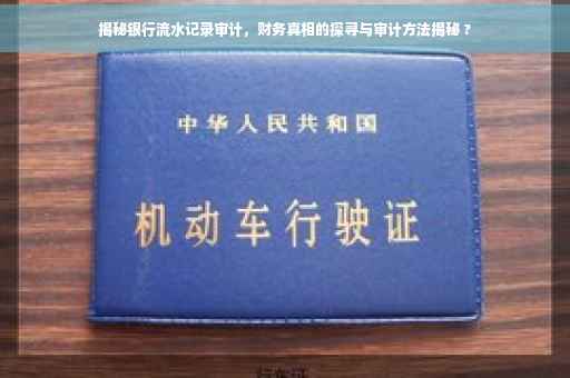 揭秘银行流水记录审计，财务真相的探寻与审计方法揭秘 ?