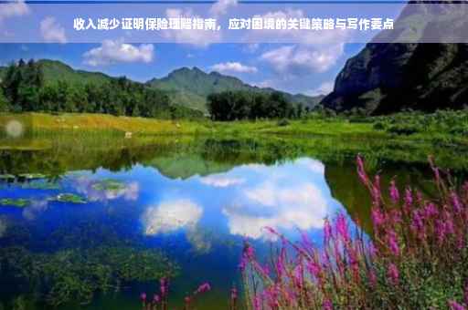 收入减少证明保险理赔指南，应对困境的关键策略与写作要点