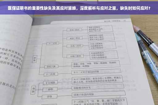 医保证明书的重要性缺失及其应对策略，深度解析与应对之策，缺失时如何应对？