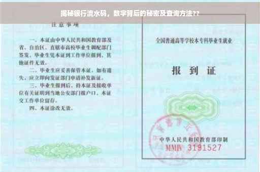 揭秘银行流水码，数字背后的秘密及查询方法??