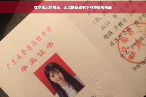 休学背后的故事，无诊断证明书下的决策与挑战