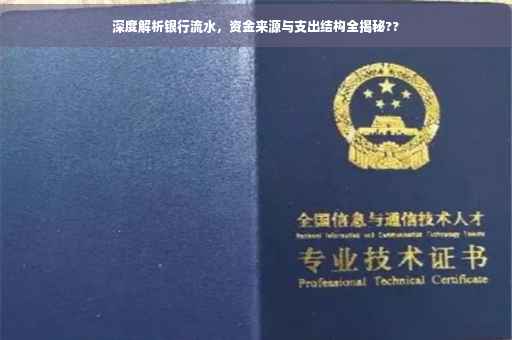 深度解析银行流水，资金来源与支出结构全揭秘??
