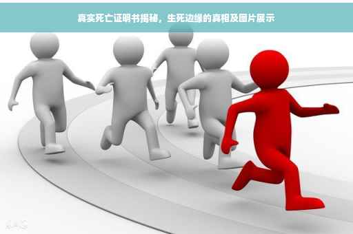 真实死亡证明书揭秘，生死边缘的真相及图片展示