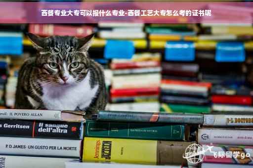 西餐专业大专可以报什么专业-西餐工艺大专怎么考的证书呢