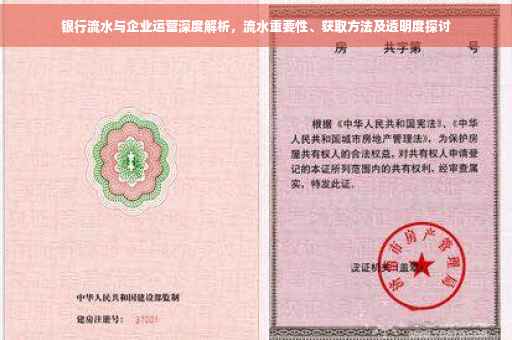 银行流水与企业运营深度解析，流水重要性、获取方法及透明度探讨