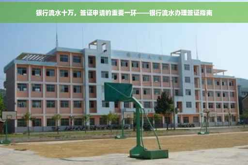 银行流水十万，签证申请的重要一环——银行流水办理签证指南