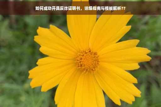 如何成功开具反诈证明书，详细指南与模板解析??