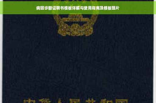 病因诊断证明书模板详解与使用指南及模板图片