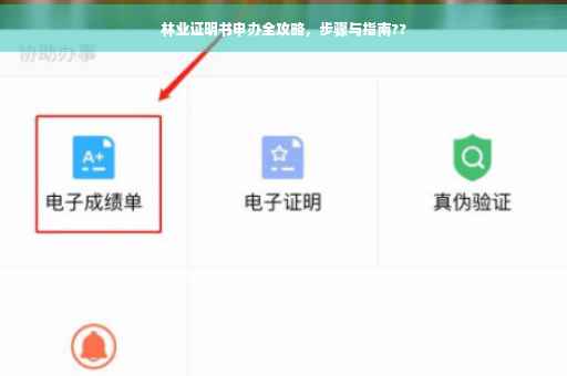 林业证明书申办全攻略，步骤与指南??