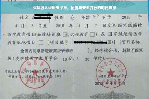 买房收入证明电子章，便捷与安全并行的时代选择