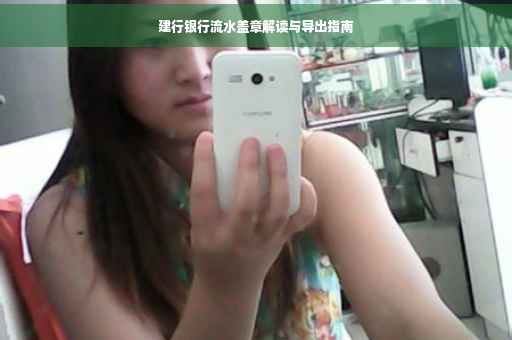 建行银行流水盖章解读与导出指南