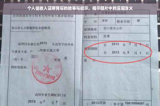 个人低收入证明背后的故事与启示，揭示图片中的深层含义