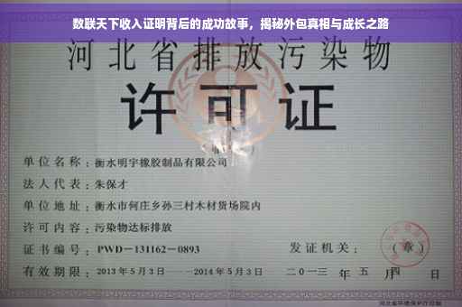 数联天下收入证明背后的成功故事，揭秘外包真相与成长之路