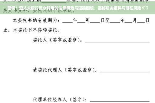 警惕！查丈夫银行流水背后的法律风险与道德困境，揭秘所需证件与潜在风险?⚡️