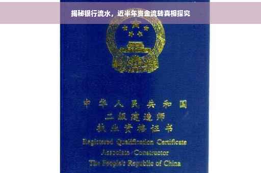 揭秘银行流水，近半年资金流转真相探究