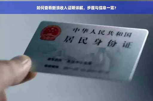 如何查看新浪收入证明详解，步骤与信息一览?