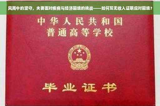 风雨中的坚守，夫妻面对疾病与经济困境的挑战——如何写无收入证明应对困境？