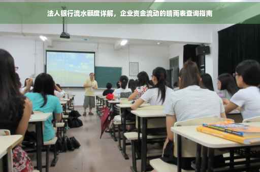 法人银行流水额度详解，企业资金流动的晴雨表查询指南