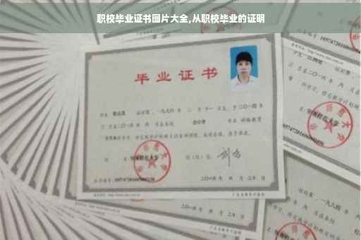 职校毕业证书图片大全,从职校毕业的证明