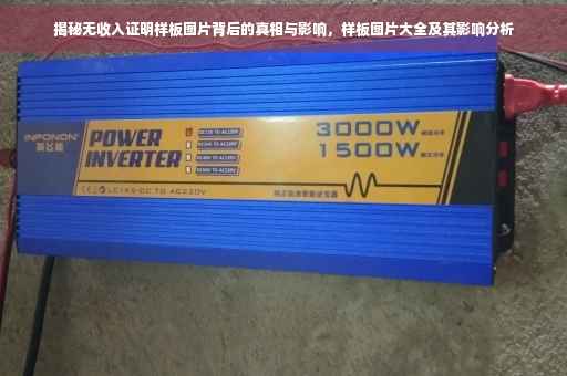 揭秘无收入证明样板图片背后的真相与影响，样板图片大全及其影响分析
