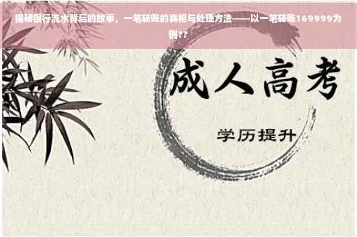 揭秘银行流水背后的故事，一笔转账的真相与处理方法——以一笔转账169999为例??
