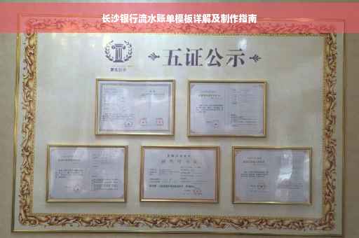 长沙银行流水账单模板详解及制作指南